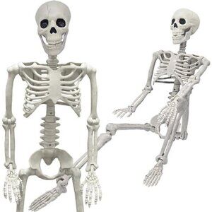 36" Skeleton Halloween Decor, 3FT Realistic Full Body Movable Posable Joints